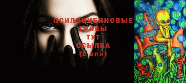 СК Алексеевка