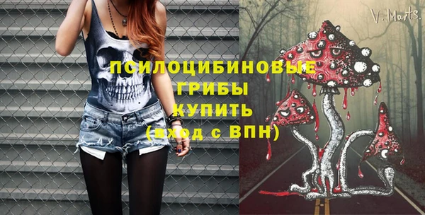 прущий лед Алексин