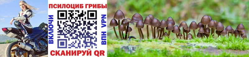 где можно купить наркотик Сураж Псилоцибиновые грибы Psilocybine cubensis